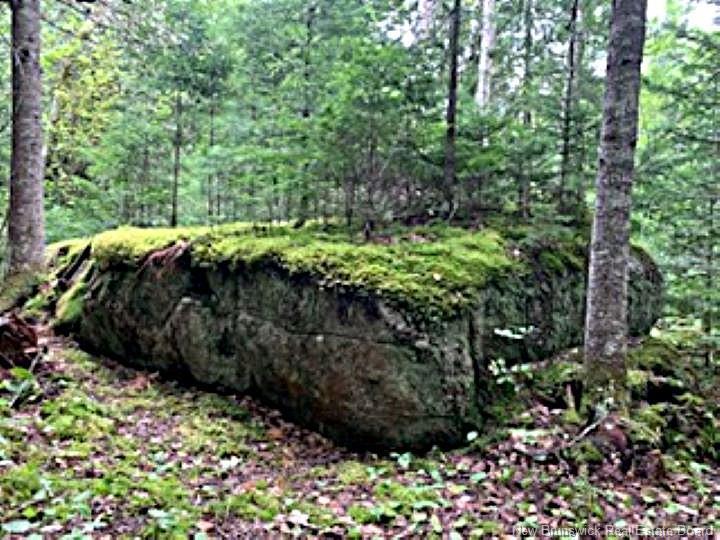 Lot 2 Highway Pokiok, Hawkshaw, NB