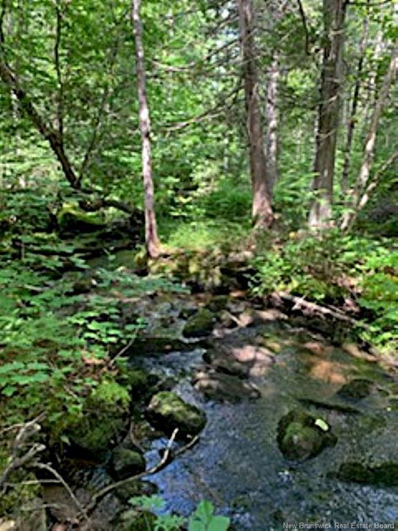 Lot 2 Highway Pokiok, Hawkshaw, NB