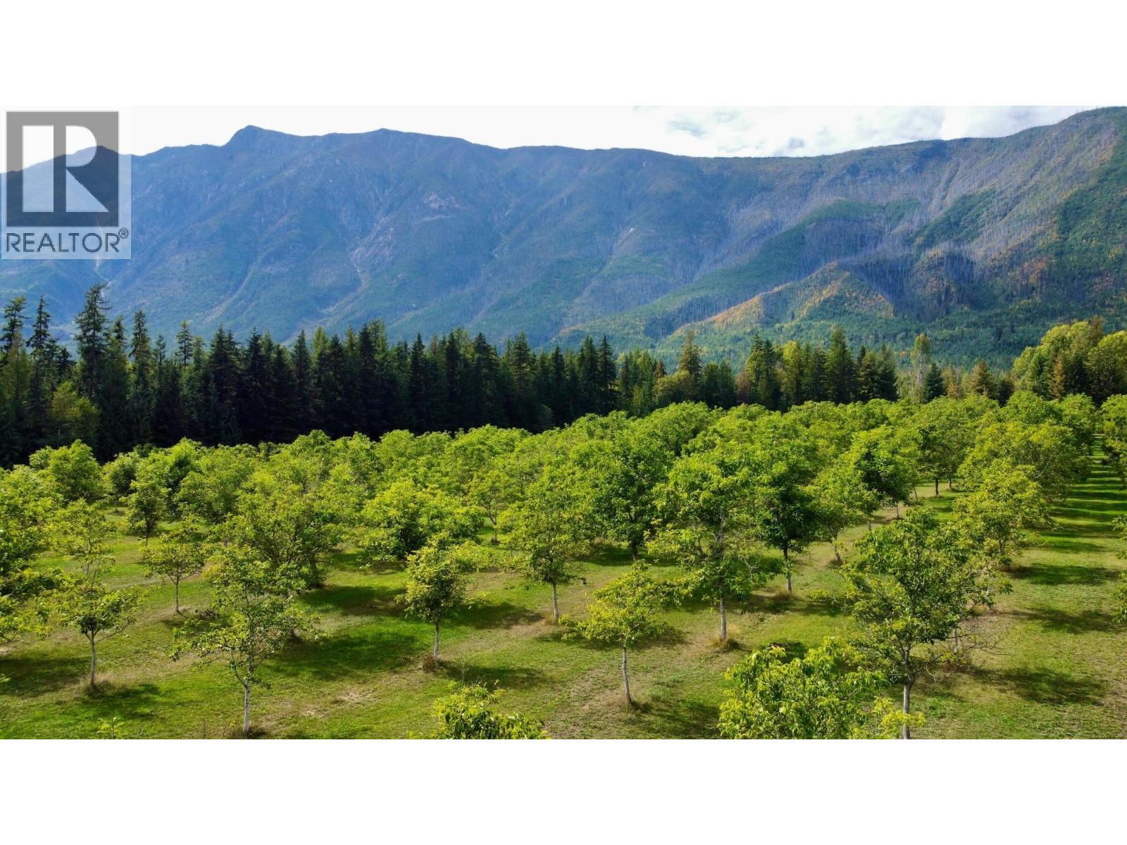 Lots 71-72 Harrison Road, Arrow Park, BC - Outdoor With View