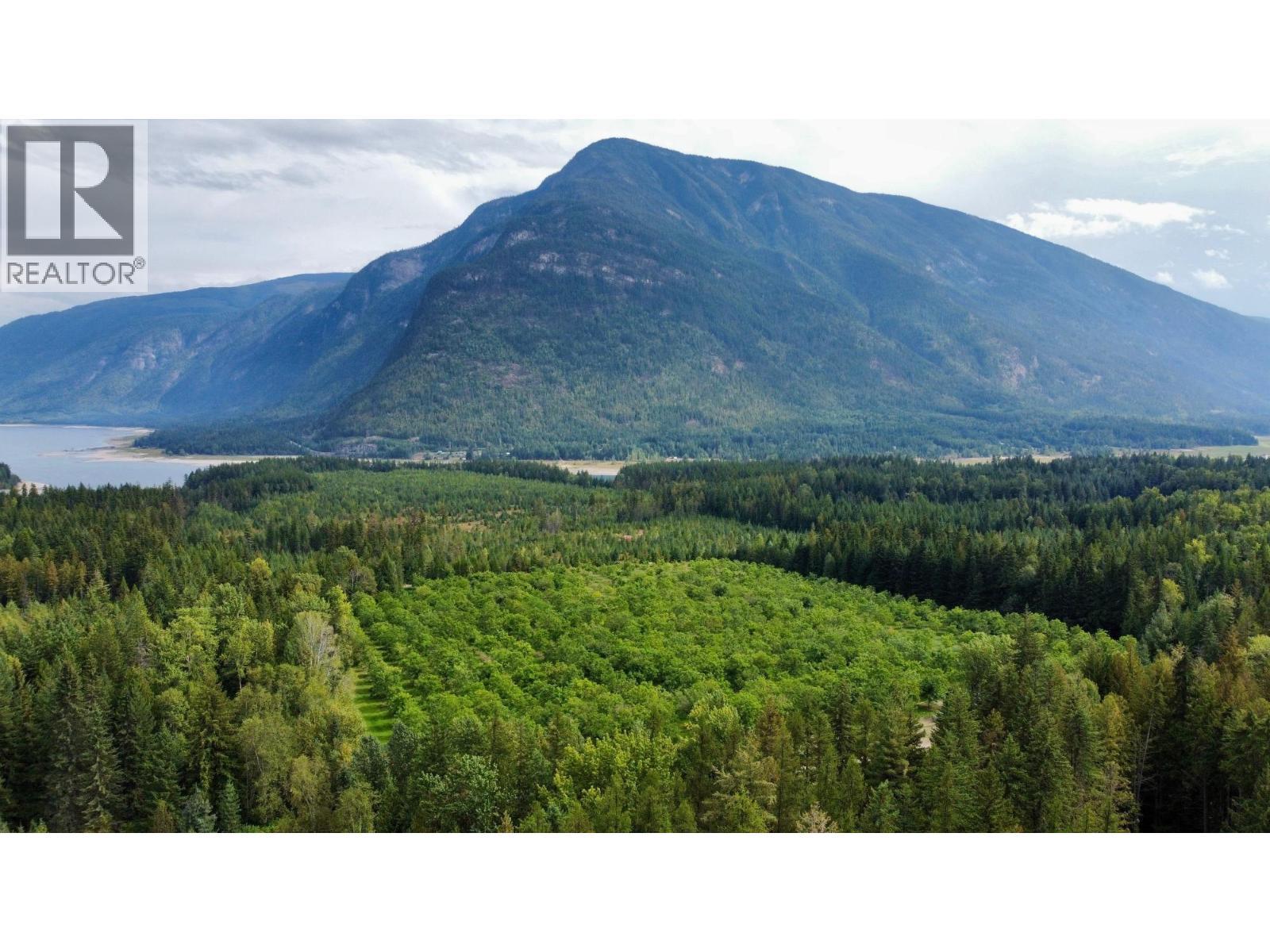 Lots 71-72 Harrison Road, Arrow Park, BC - Outdoor With View