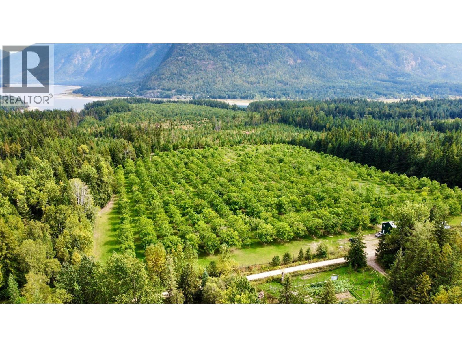 Lots 71-72 Harrison Road, Arrow Park, BC - Outdoor With View