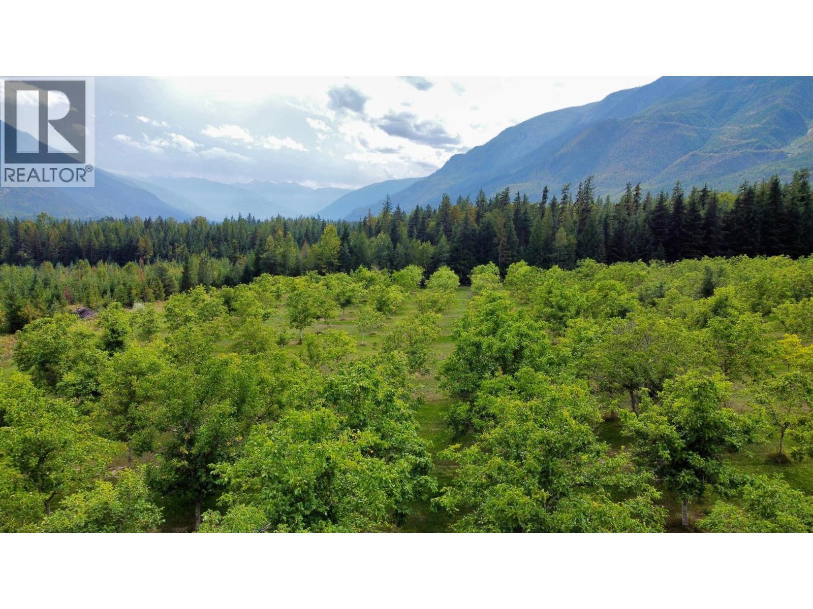Lots 71-72 Harrison Road, Arrow Park, BC - Outdoor With View