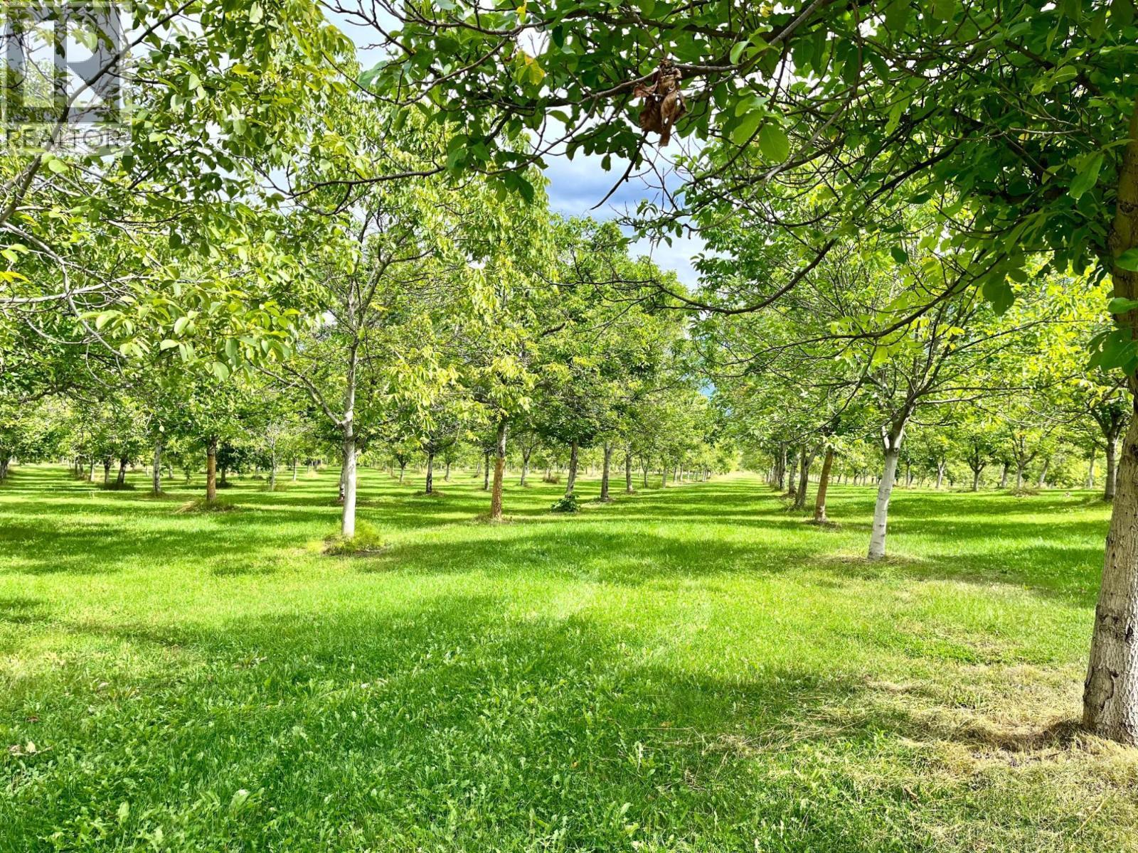 Lots 71-72 Harrison Road, Arrow Park, BC - Outdoor