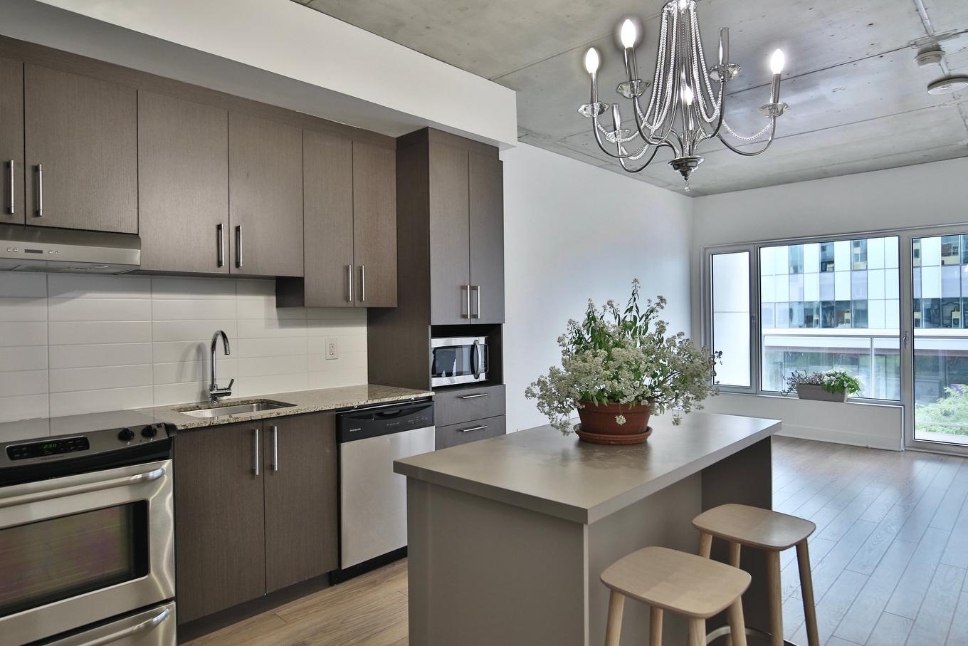 Cuisine - 305-1150 Rue St-Denis, Montréal (Ville-Marie), QC - Indoor Photo Showing Kitchen With Upgraded Kitchen