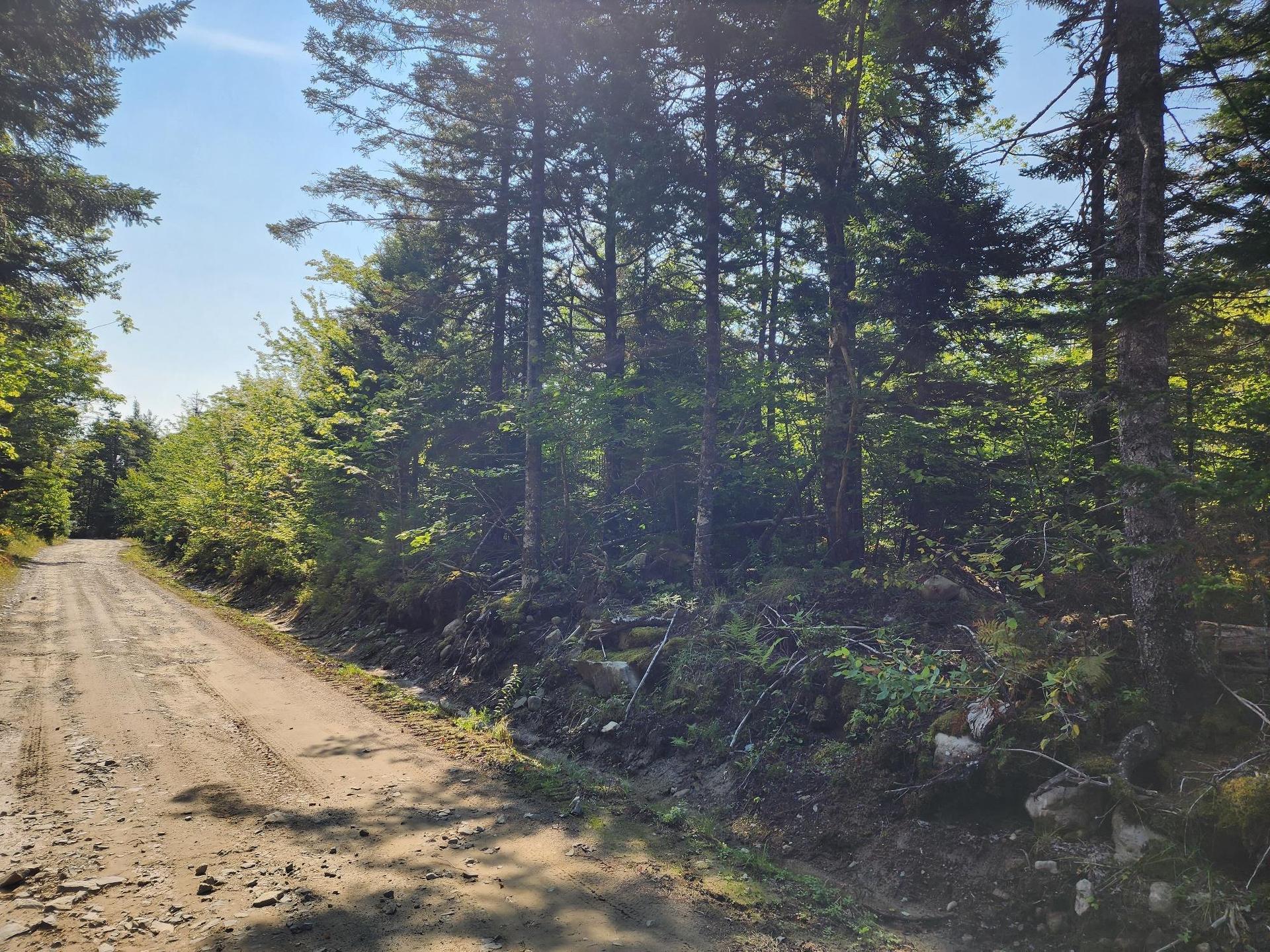 875 Beech Hill Road, Beech Hill Farms, NS