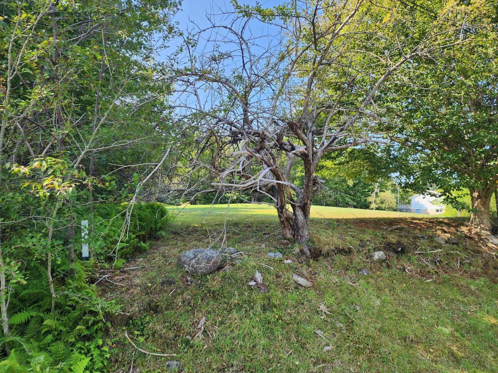 875 Beech Hill Road, Beech Hill Farms, NS