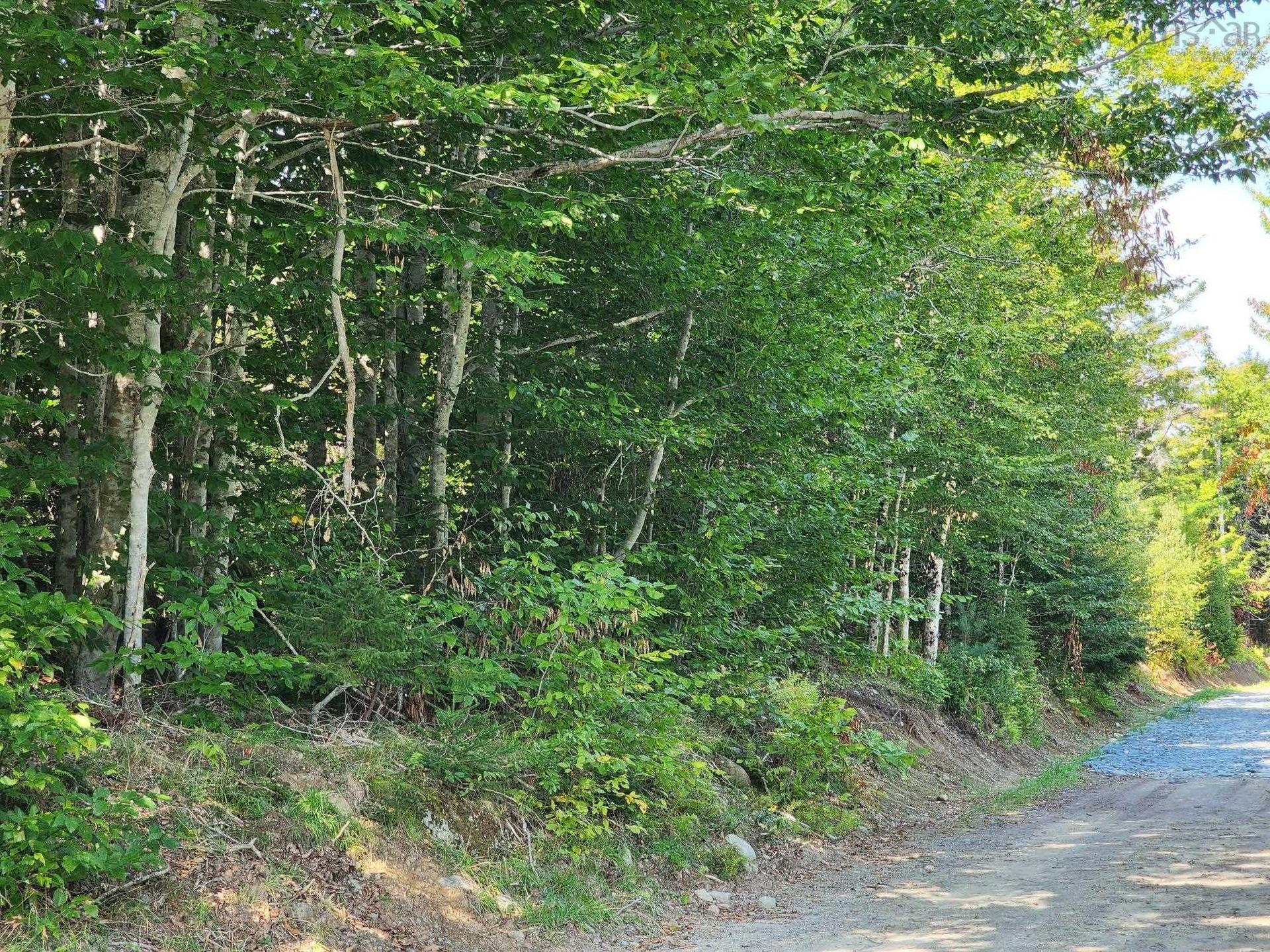 875 Beech Hill Road, Beech Hill Farms, NS