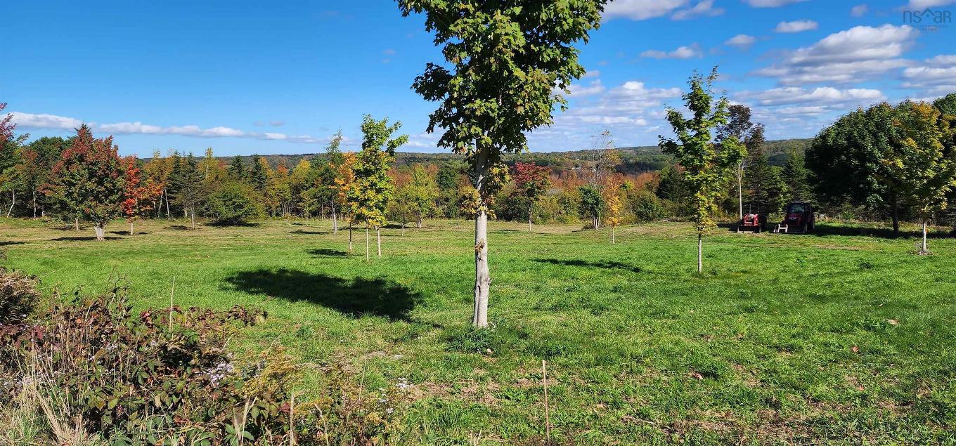 Lots Lansdowne Road, Bear River, NS