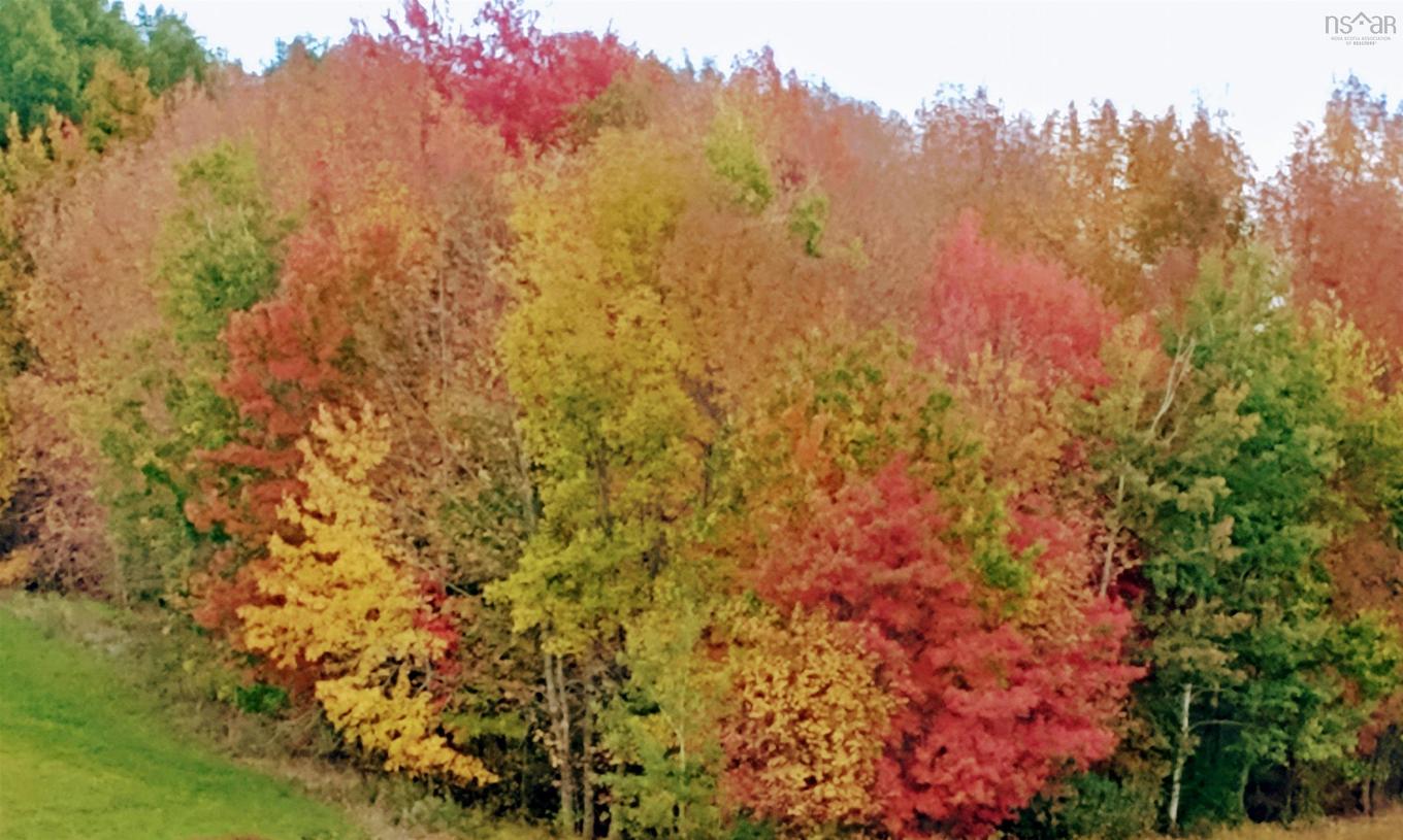 Lot(S) Havre Boucher (Simons) Road, Frankville, NS