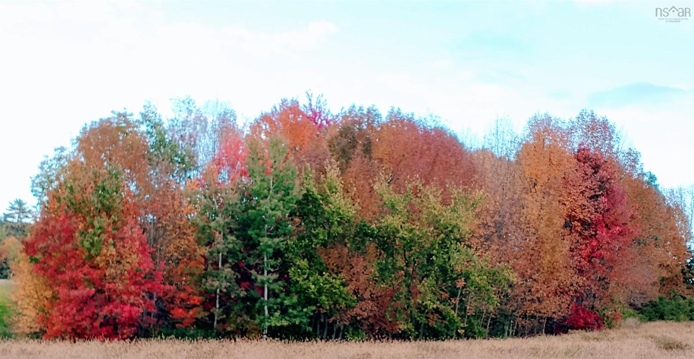Lot(S) Havre Boucher (Simons) Road, Frankville, NS