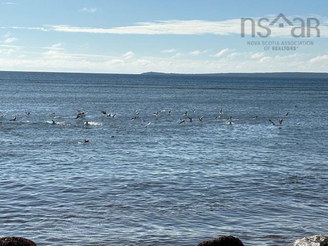 133 The Point Road, Blue Rocks, NS