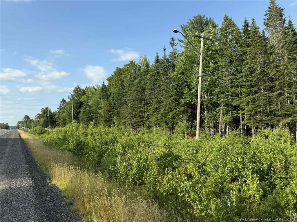 20 Acres Main St, Blackville, NB