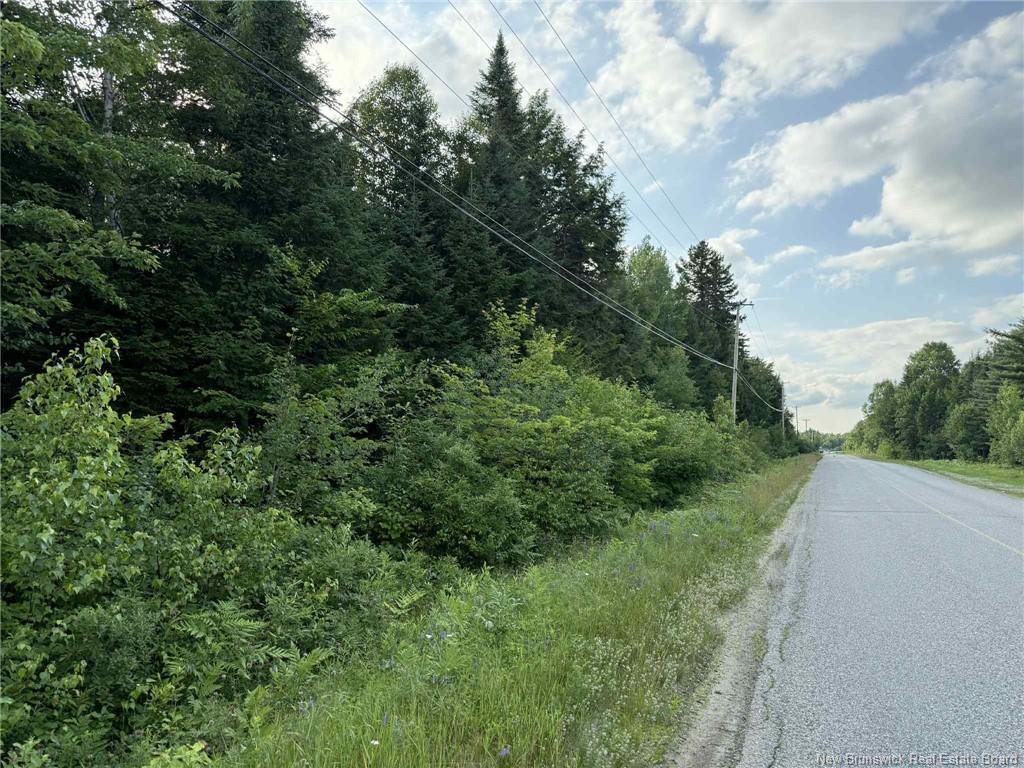 20 Acres Main St, Blackville, NB