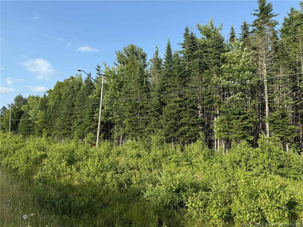 20 Acres Main St, Blackville, NB