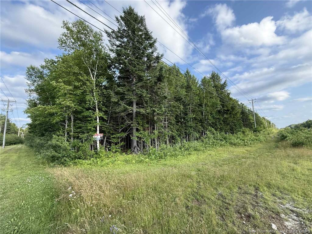 20 Acres Main St, Blackville, NB