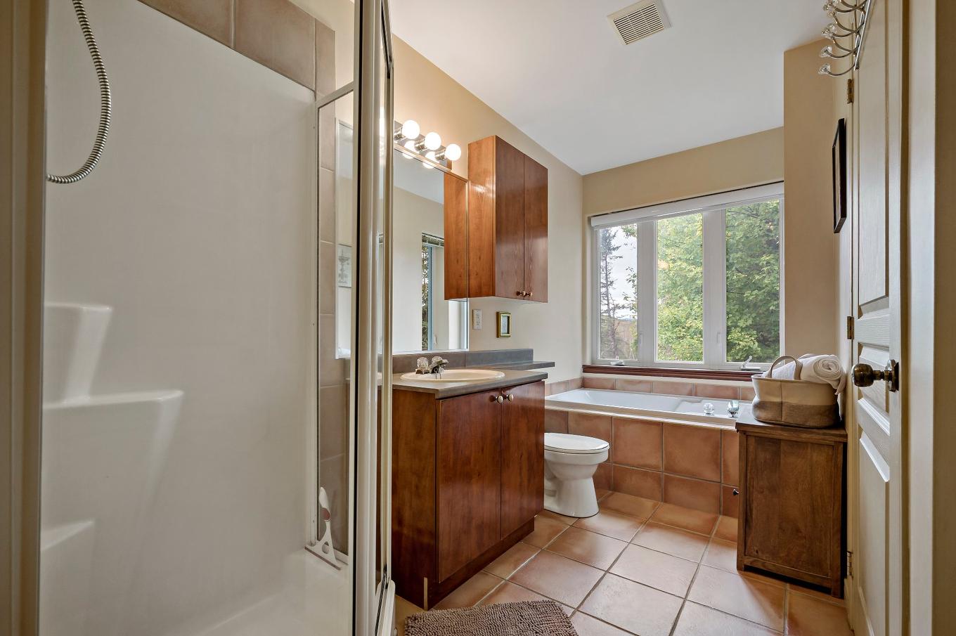 Salle de bains - 1756 Ch. Du Golf, Mont-Tremblant, QC - Indoor Photo Showing Bathroom