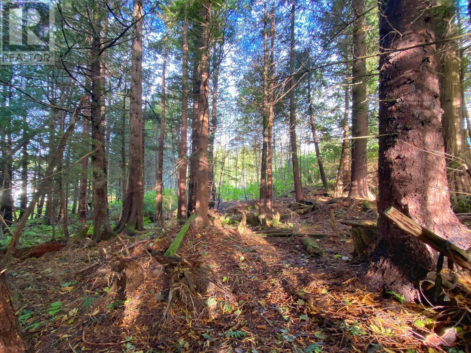 916 Jubilee Drive, Port Edward, BC