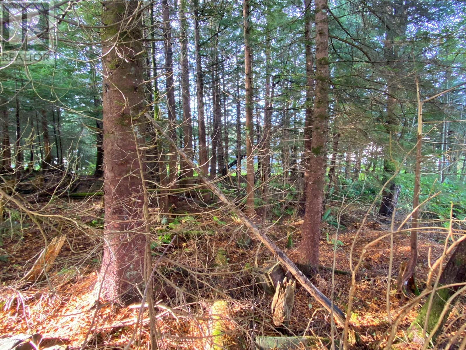 916 Jubilee Drive, Port Edward, BC