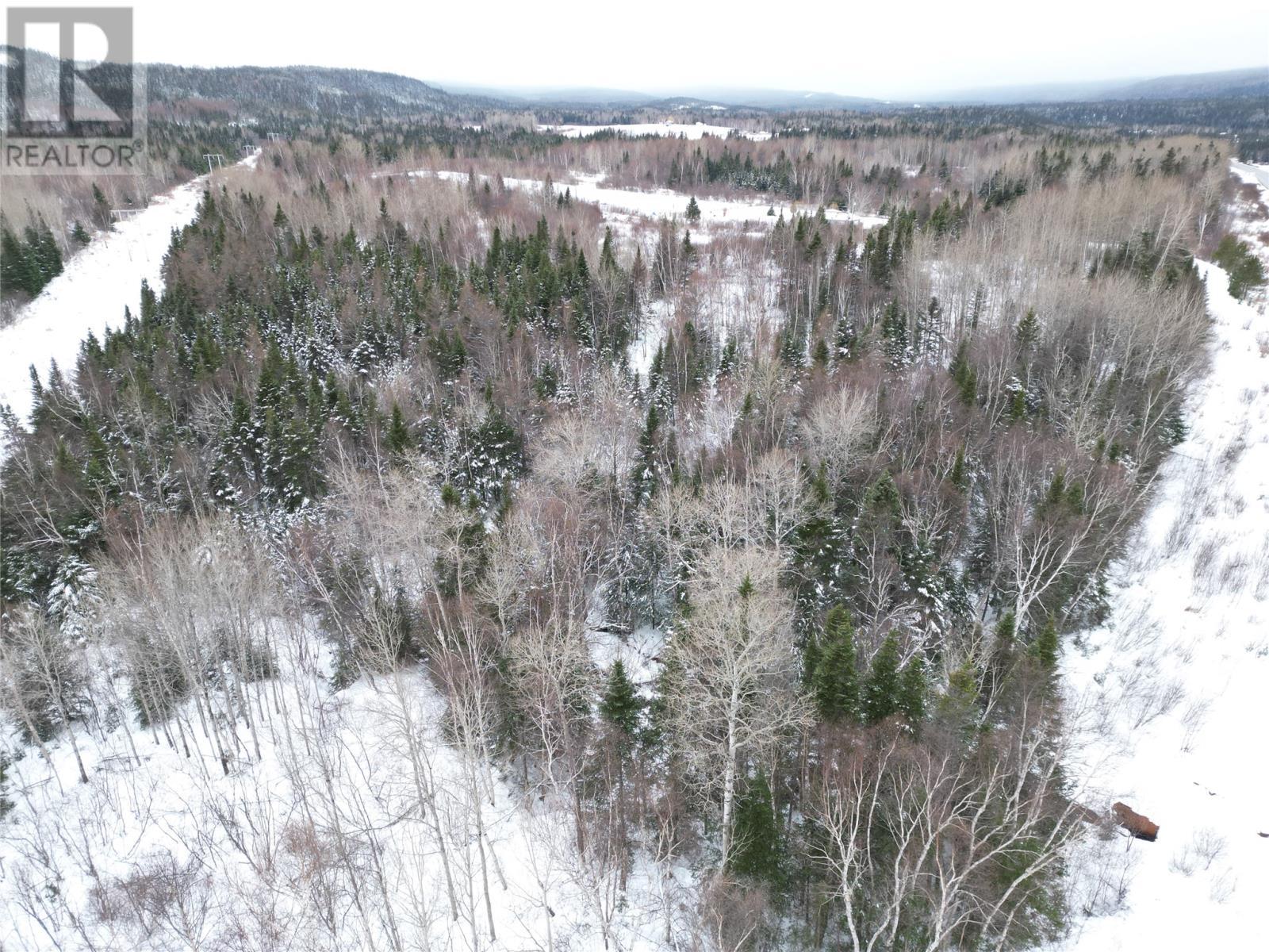 0 Springdale Junction Rd Road, Springdale, NL