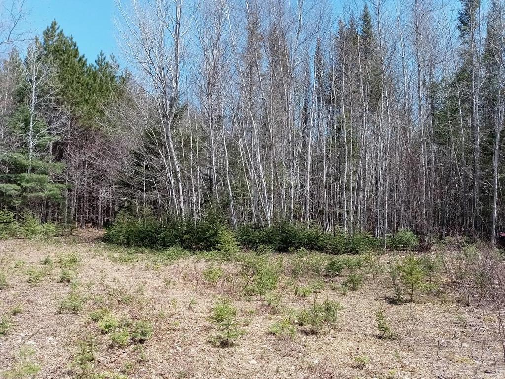 Acreage, West Devon, PE