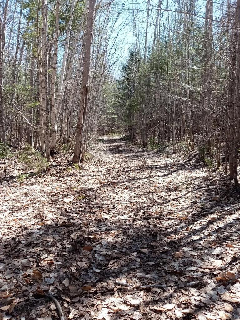 Acreage, West Devon, PE