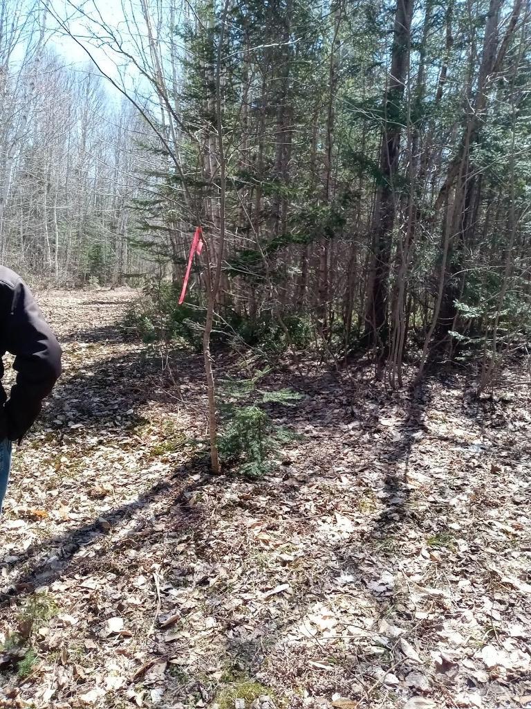 Acreage, West Devon, PE