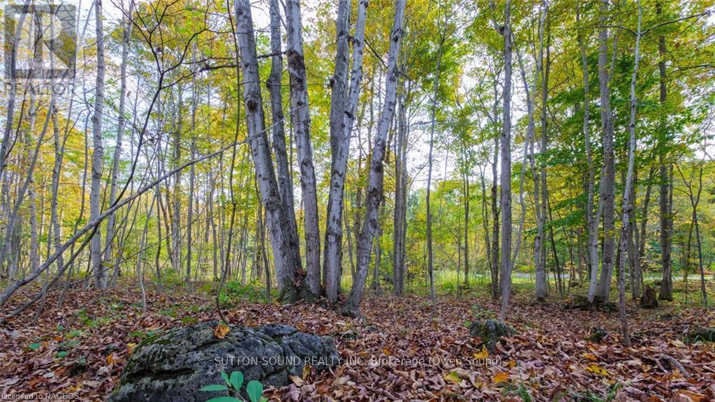 Pt Lt 25 Conc 16 Grey Road 17, Georgian Bluffs, ON