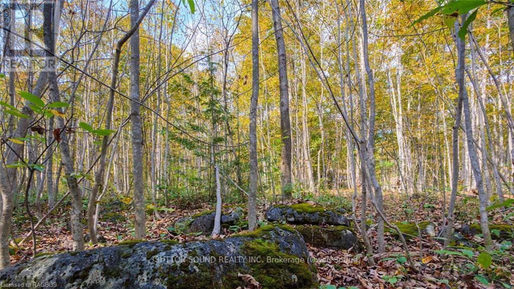 Pt Lt 25 Conc 16 Grey Road 17, Georgian Bluffs, ON