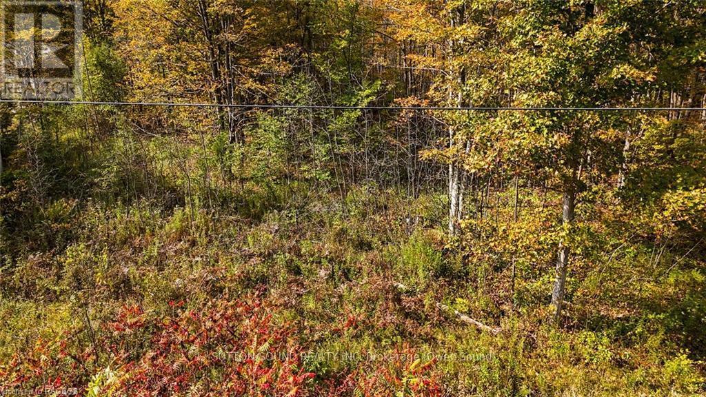 Pt Lt 25 Conc 16 Grey Road 17, Georgian Bluffs, ON