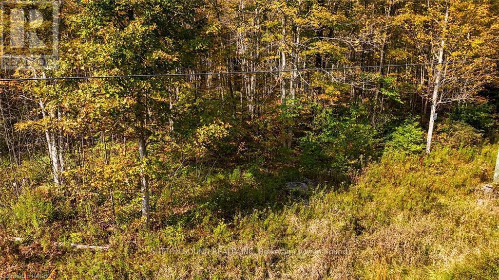 Pt Lt 25 Conc 16 Grey Road 17, Georgian Bluffs, ON