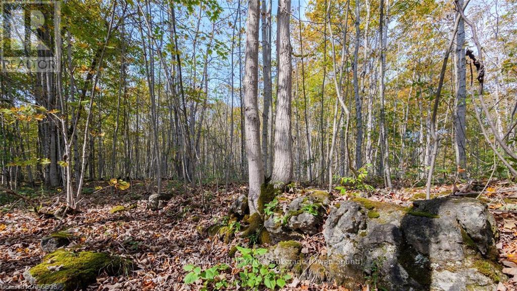 Pt Lt 25 Conc 16 Grey Road 17, Georgian Bluffs, ON