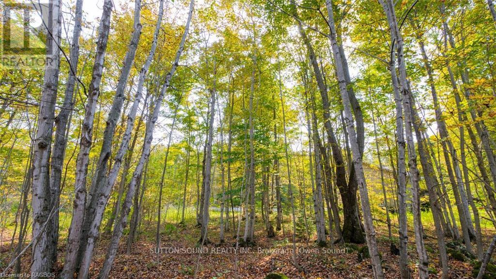 Pt Lt 25 Conc 16 Grey Road 17, Georgian Bluffs, ON