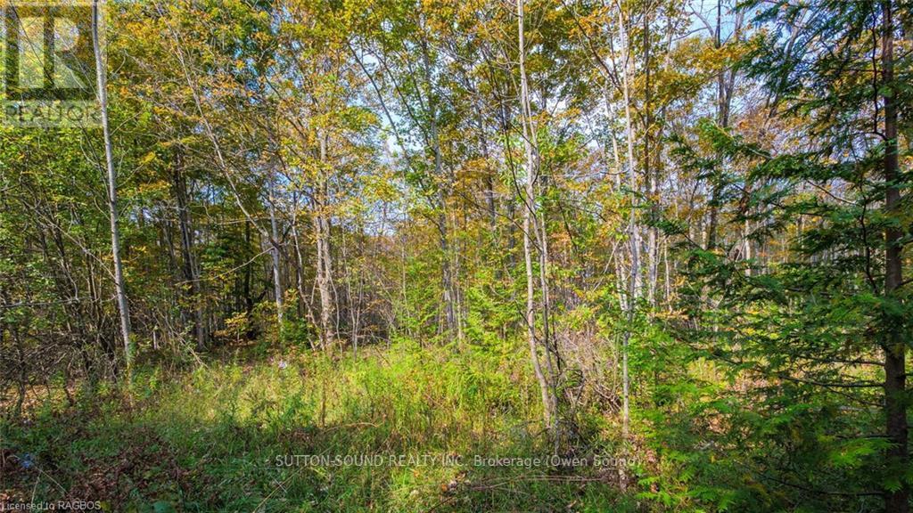 Pt Lt 25 Conc 16 Grey Road 17, Georgian Bluffs, ON