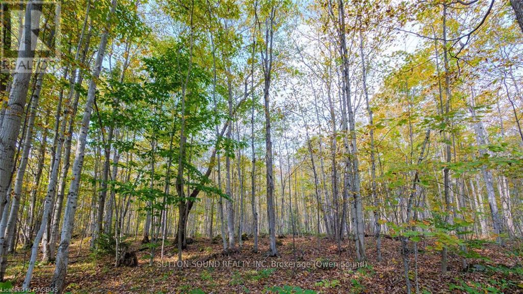 Pt Lt 25 Conc 16 Grey Road 17, Georgian Bluffs, ON