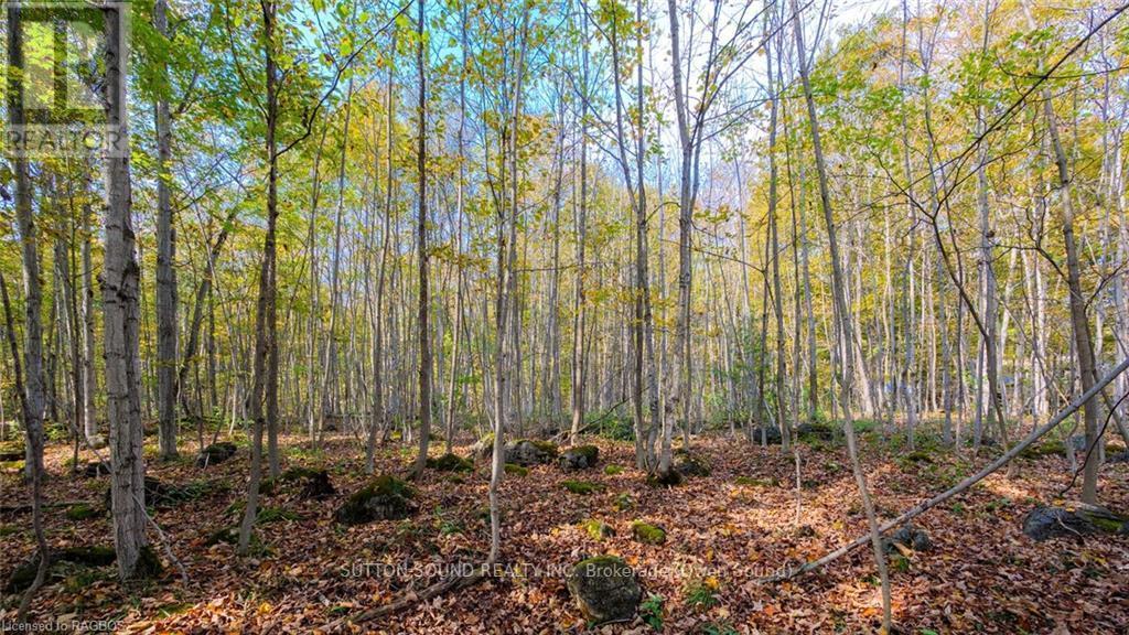 Pt Lt 25 Conc 16 Grey Road 17, Georgian Bluffs, ON