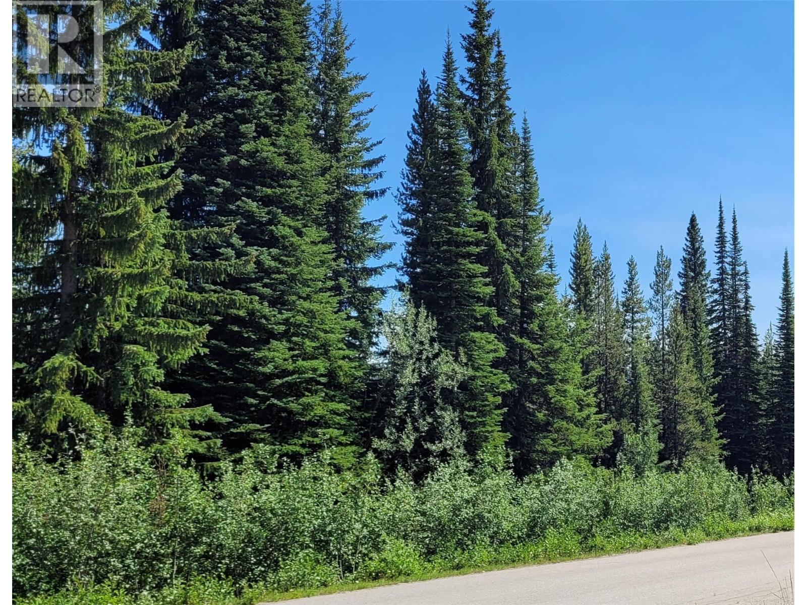 Lot in summer - 248 Wapiti Creek Road, Mount Baldy, BC