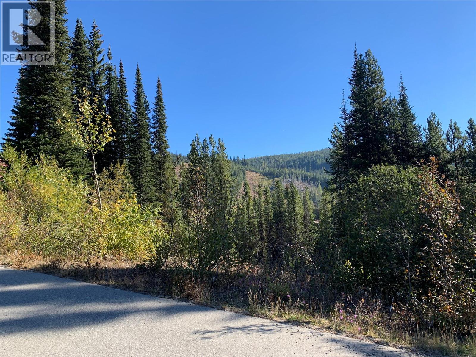 Lot in summer - 248 Wapiti Creek Road, Mount Baldy, BC