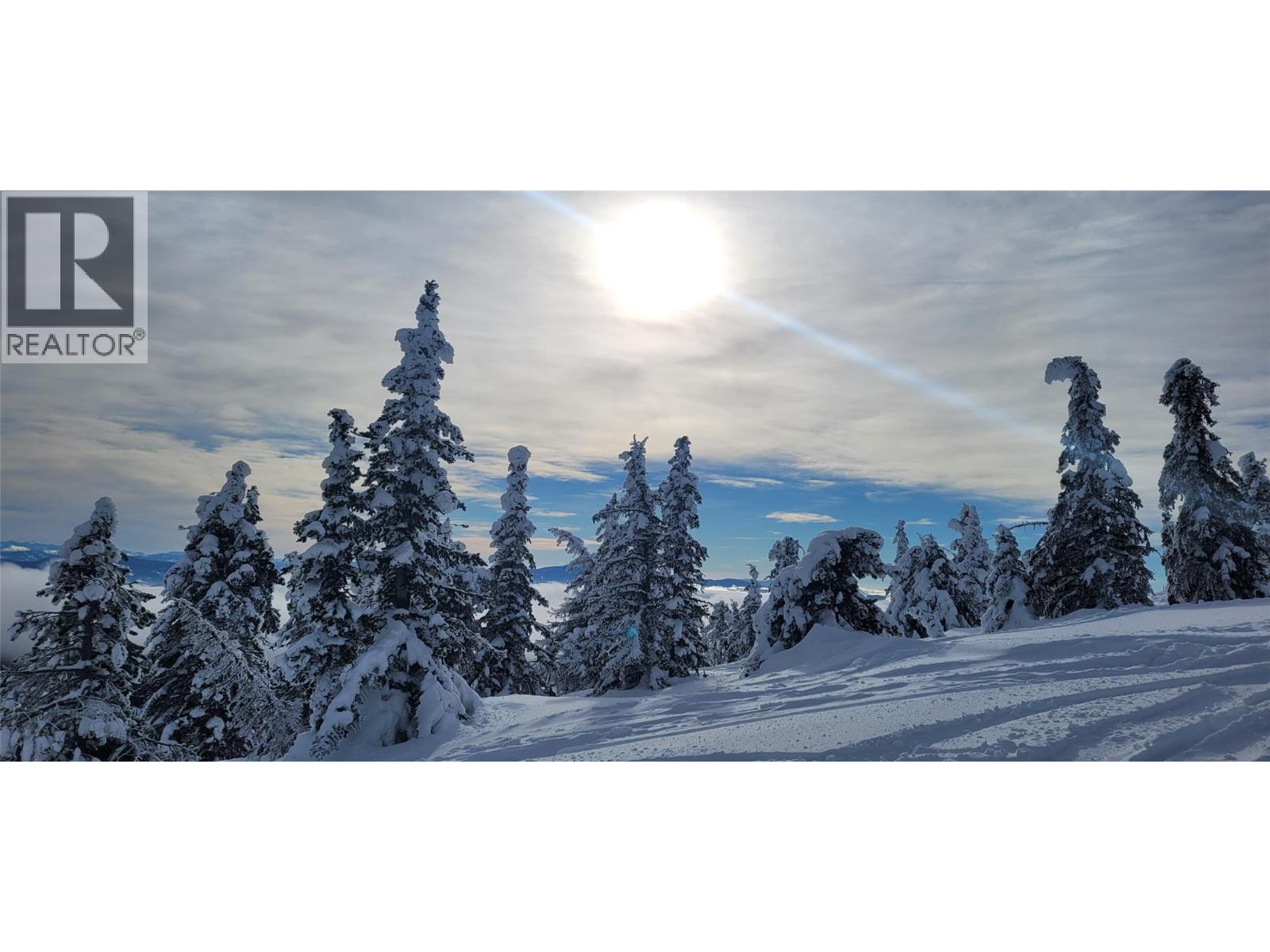 Baldy mt winter - 248 Wapiti Creek Road, Mount Baldy, BC