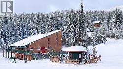 Baldy Lodge -