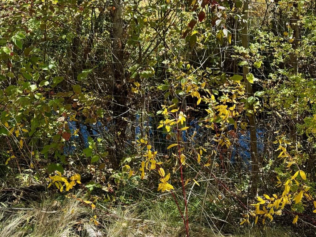 3850 Swamp Road, Kelowna, BC