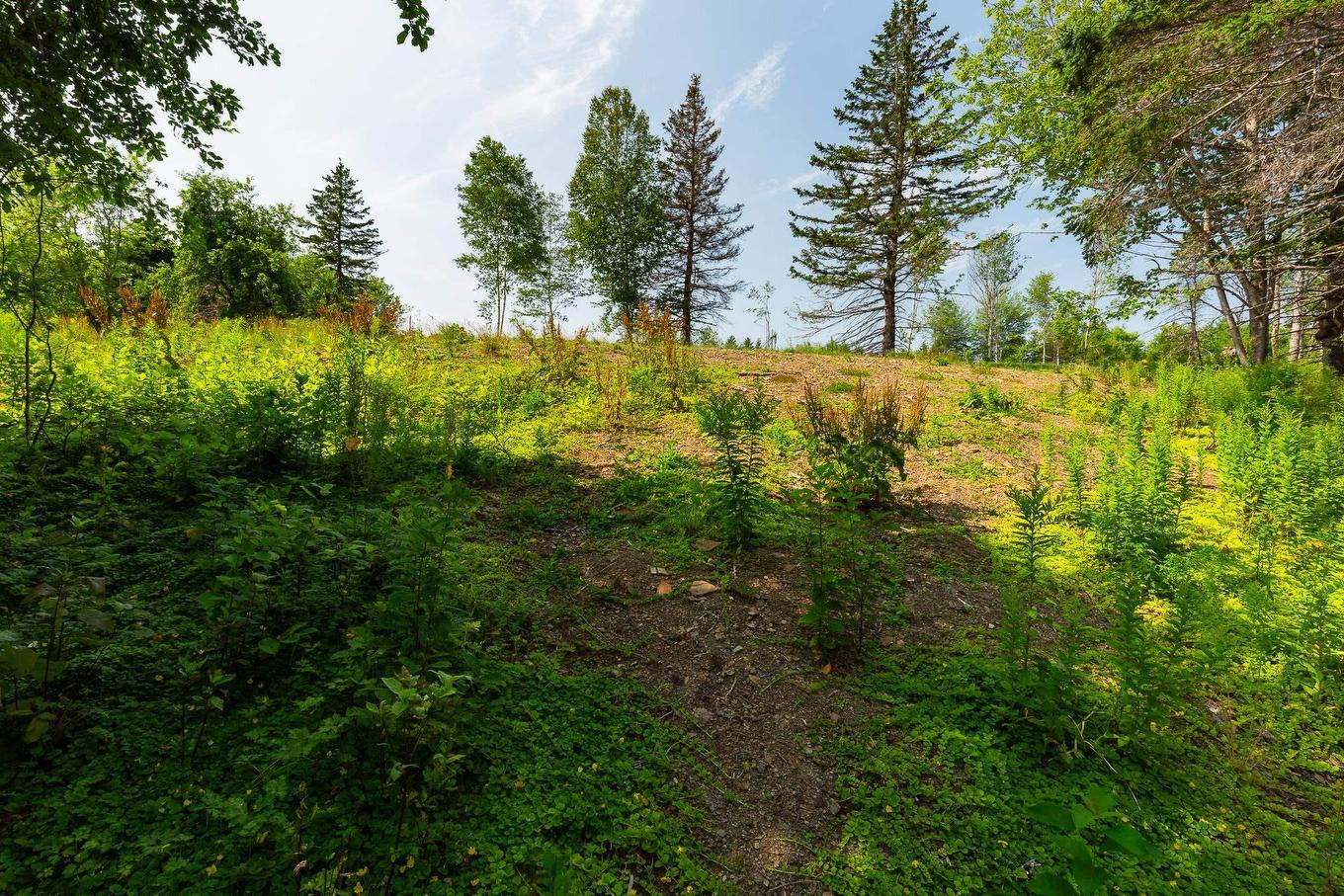 Lot 2 Highway 19, Hawleys Hill, Mabou, NS