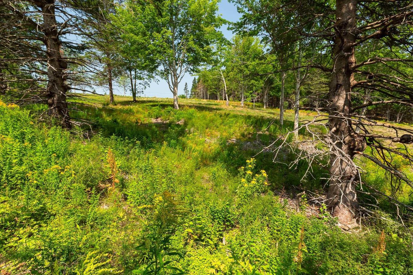 Lot 3 Highway 19, Hawleys Hill, Mabou, NS