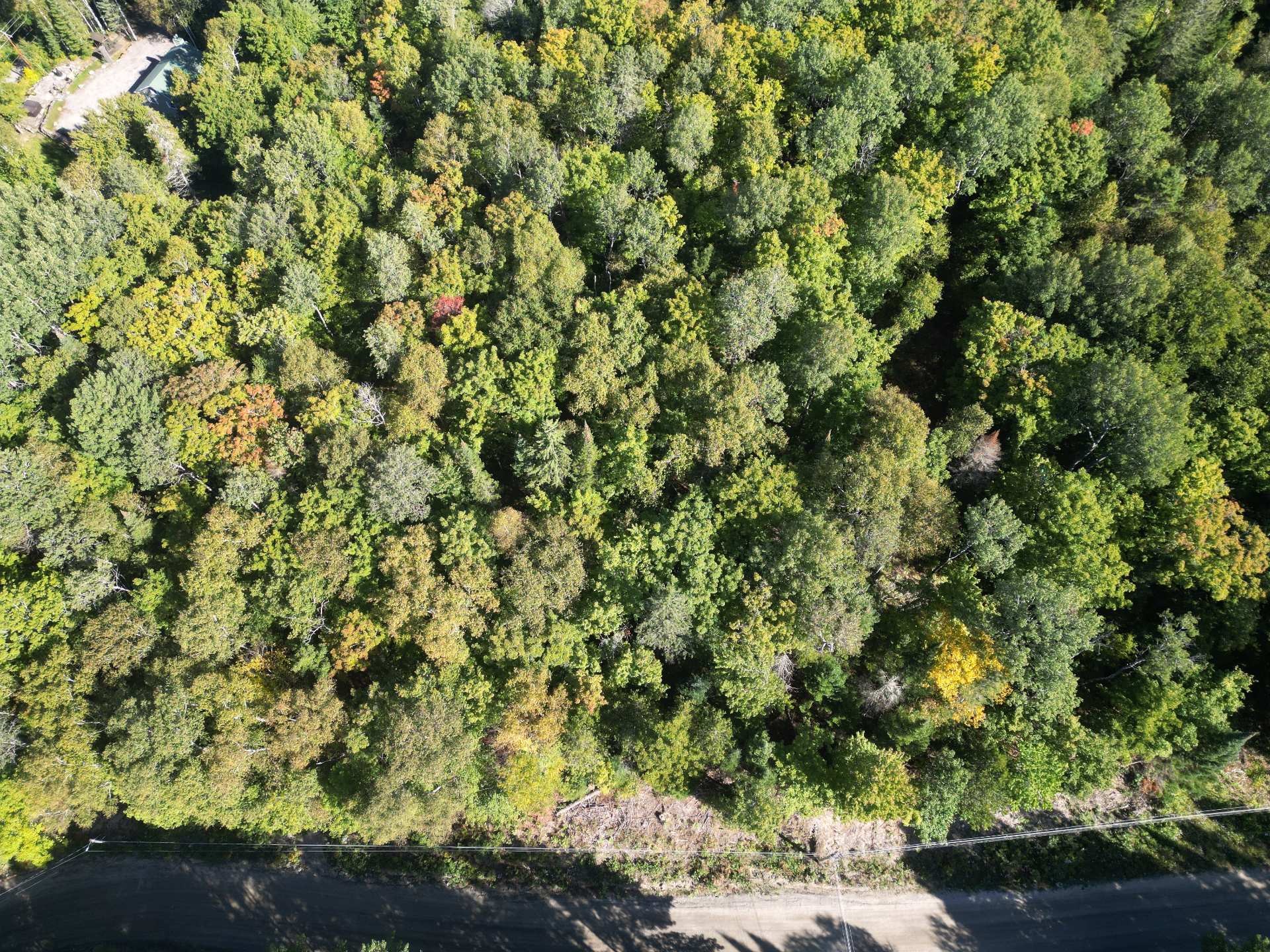 Terre/Terrain - Ch. Du Lac-De-L'Abies, Labelle, QC