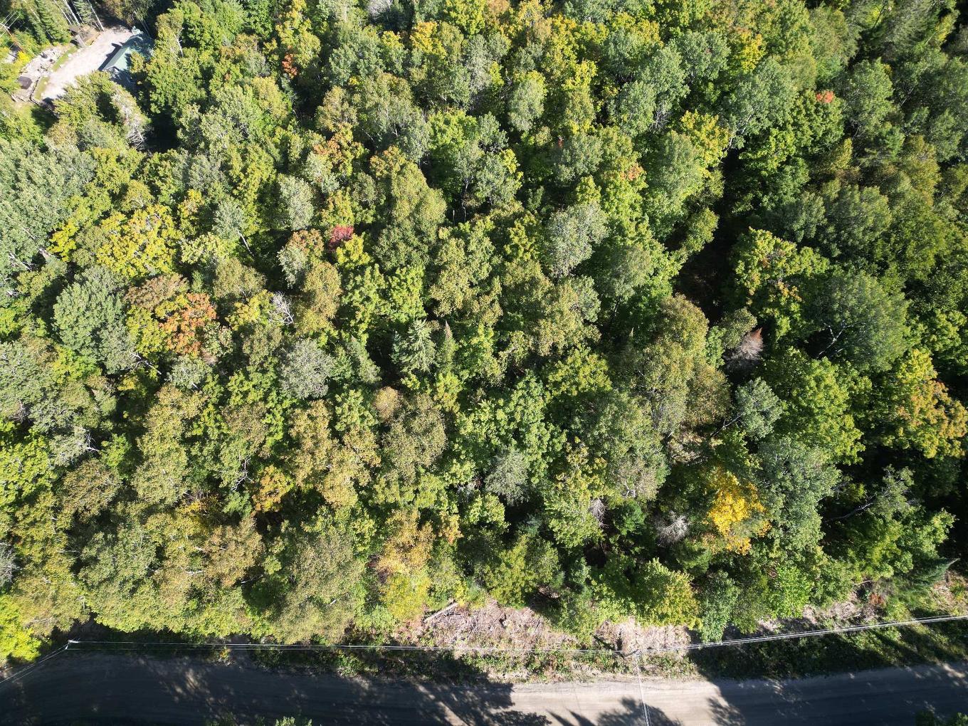Land/Lot - Ch. Du Lac-De-L'Abies, Labelle, QC