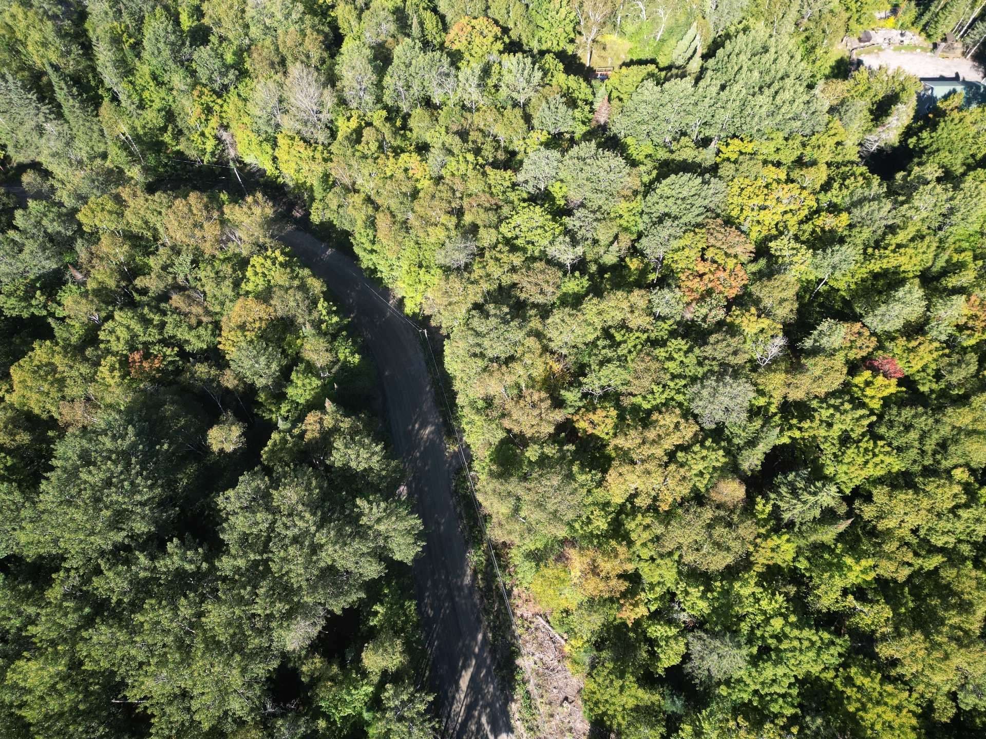 Terre/Terrain - Ch. Du Lac-De-L'Abies, Labelle, QC