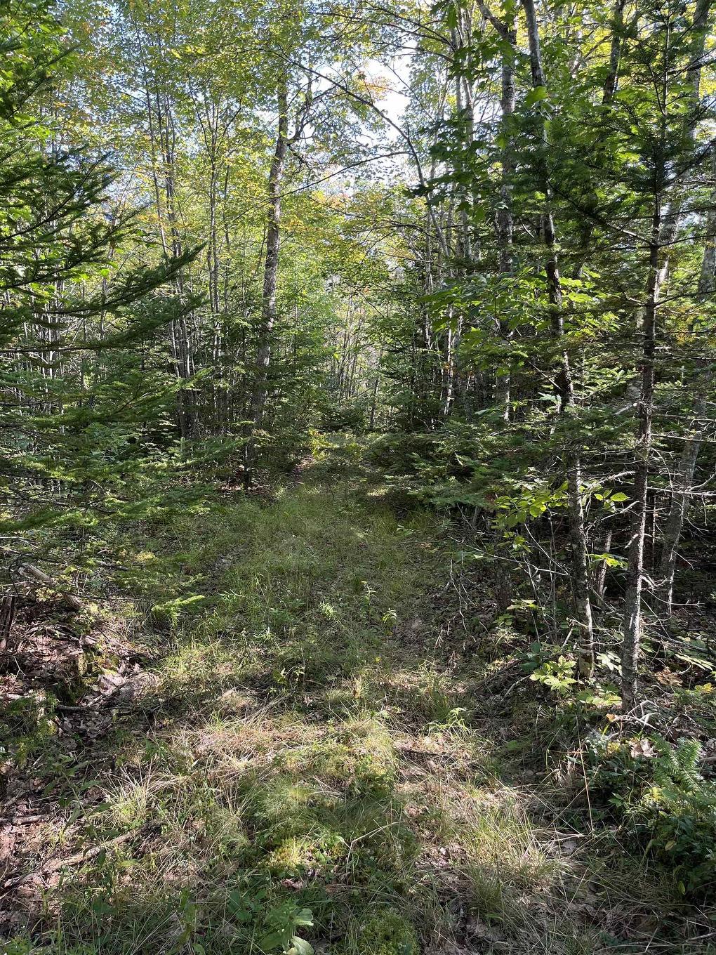 Lot Highway 10, Dalhousie, NS