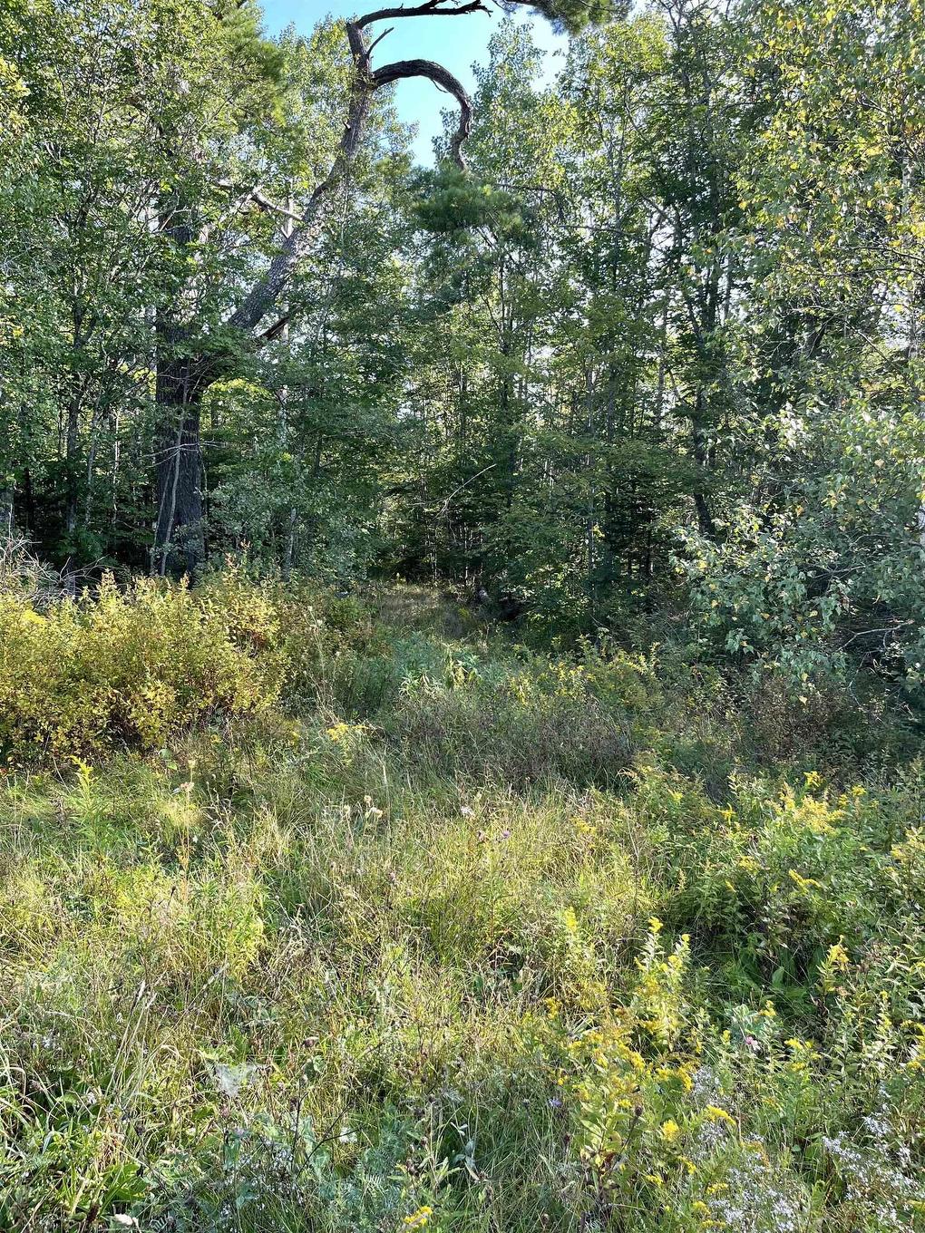 Lot Highway 10, Dalhousie, NS