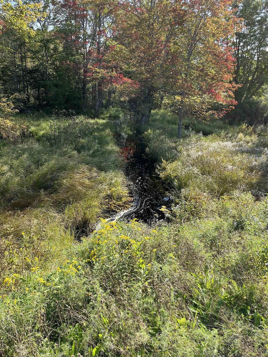 Lot Highway 10, Dalhousie, NS