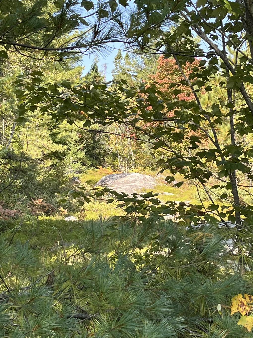 Lot Highway 10, Dalhousie, NS