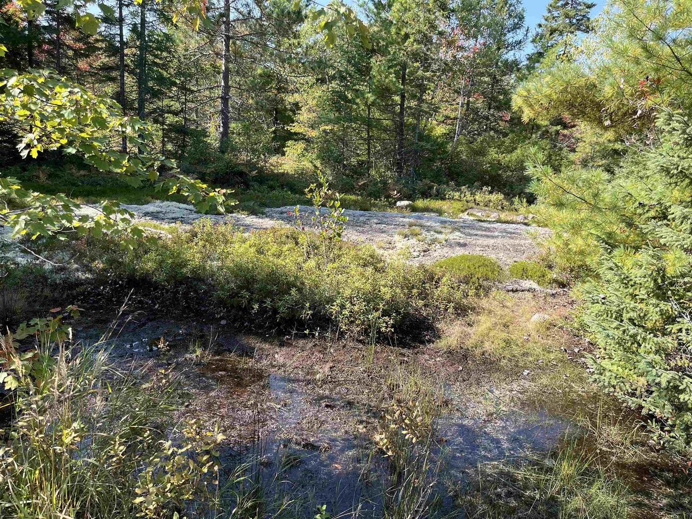 Lot Highway 10, Dalhousie, NS